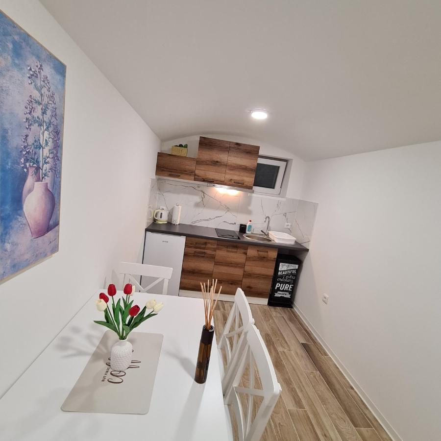 Apartment Dinlux Марибор Экстерьер фото